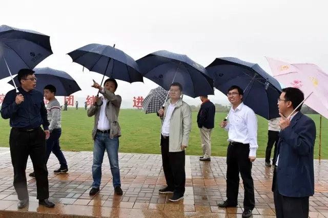 雨中巡視，把好“新區”掛牌前最后一道關！