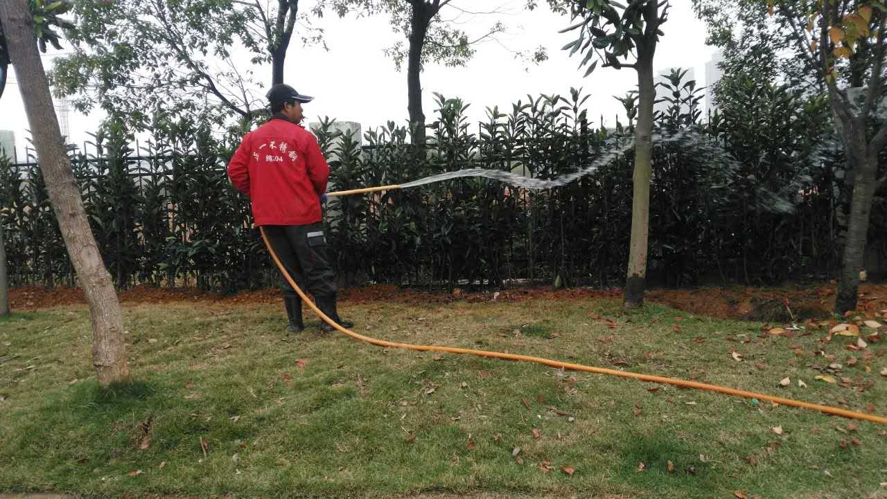 管護公司開展冬季道路綠化植被養護工作