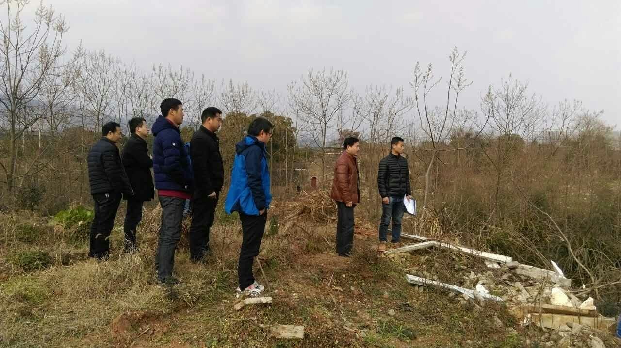 協(xié)調(diào)解決問(wèn)題 力促項(xiàng)目提速