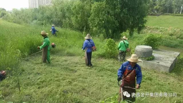 灑下汗水收獲美麗 致城市的高級美容師——園林工人 