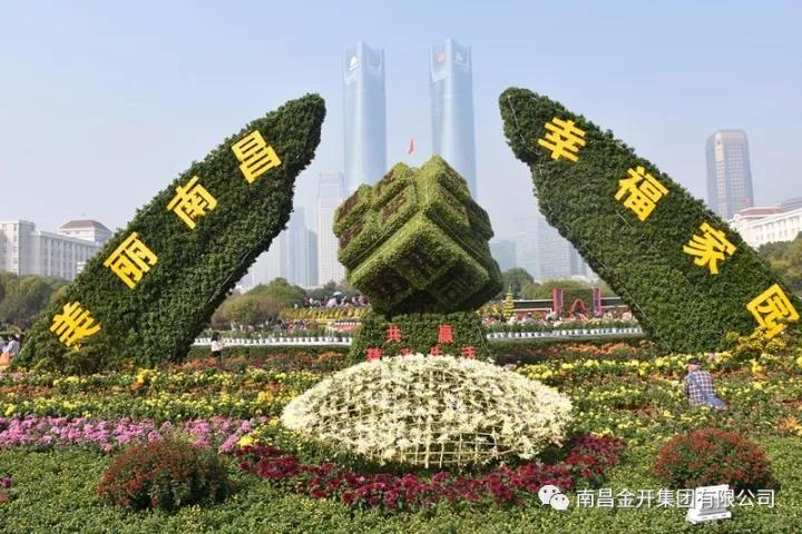 美！萬千菊花姹紫嫣紅 “活力經開”初露真容