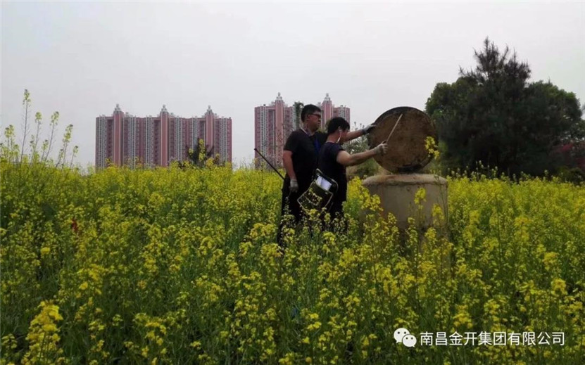 管護公司對區內雙港大道等14條污水管道開展管道檢測工作