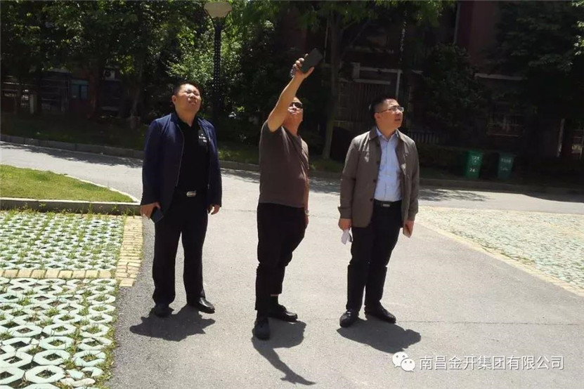 市政公司組織開展現有資產巡查工作