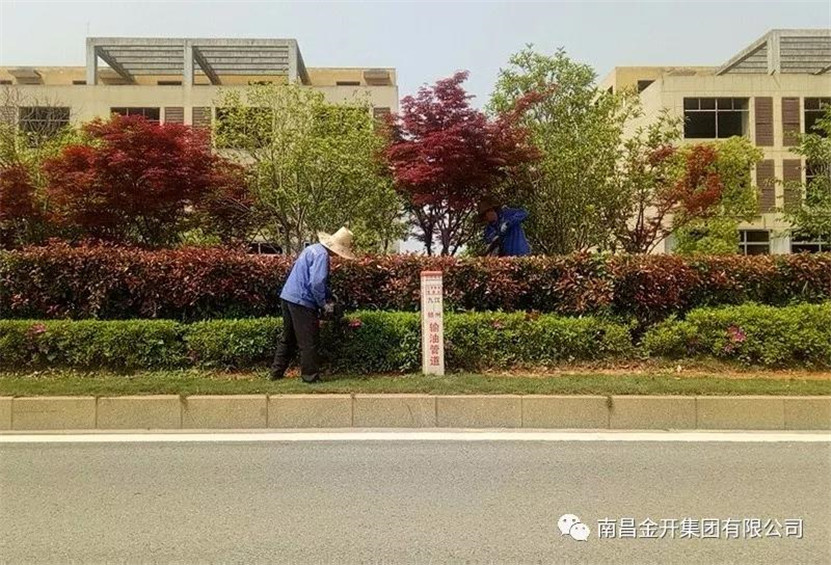 全力開展環境整治  營造清潔優美環境