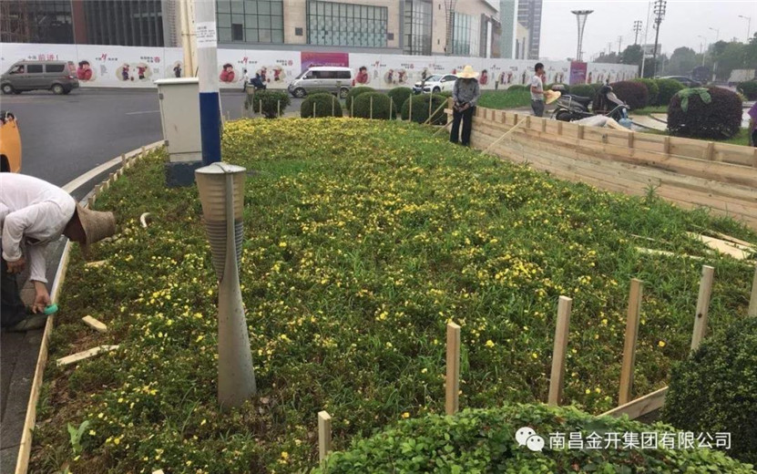 桂苑路花卉轉盤景觀提升改造工程順利完工