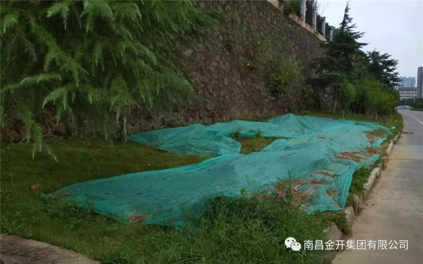 龍?zhí)堵肺鬯芫W(wǎng)鋪設及道路恢復工作順利完工