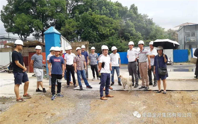 項目公司組織開展專家現場檢查活動