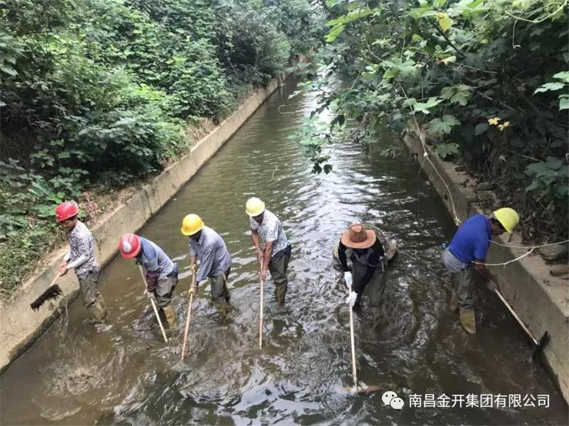 龍潭水渠、麥廬支渠黑色底泥清淤處置工作正穩步推進中