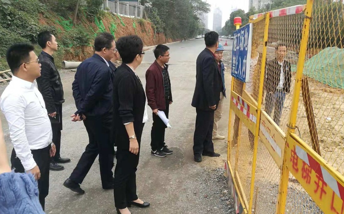 區管委會副主任王勵現場調研黃家湖東路、菊圃路等項目城