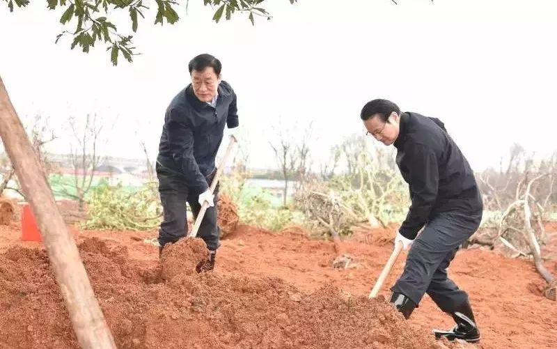 迎春潮 | 省委書記、省長(zhǎng)帶領(lǐng)大家一同植樹 