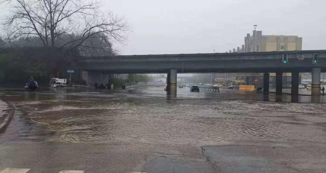 管護公司妥善處理道路積水問題 