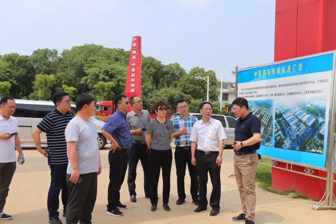 吉林省工業(yè)和信息化廳醫(yī)藥處處長張迎紅一行來到中醫(yī)藥科