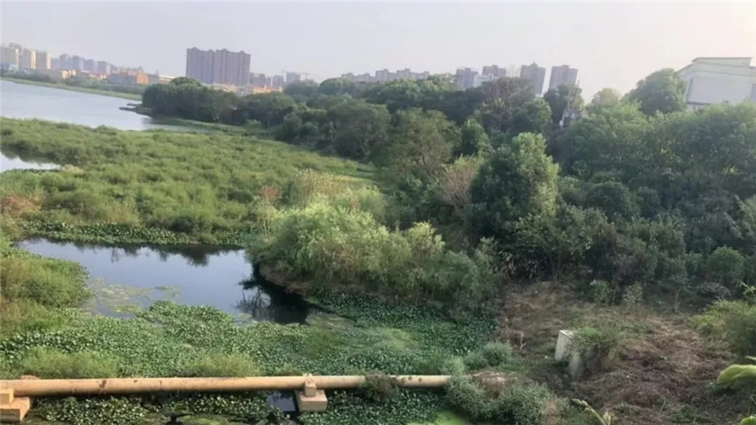 工匠集團召開黃家湖上湖湖體綜合整治工程現場調度會