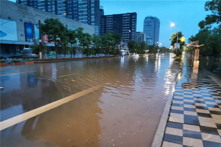 突發！暴雨來襲，彰顯管護擔當！