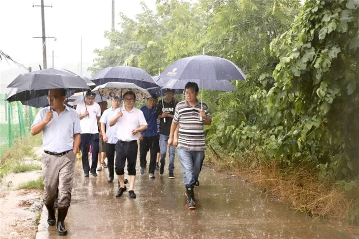 【專題報(bào)道】聞“汛”而動(dòng)、風(fēng)雨無(wú)阻