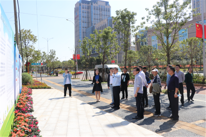 市政府副秘書長楊保根帶隊調研經開區郵票綠地建設情況