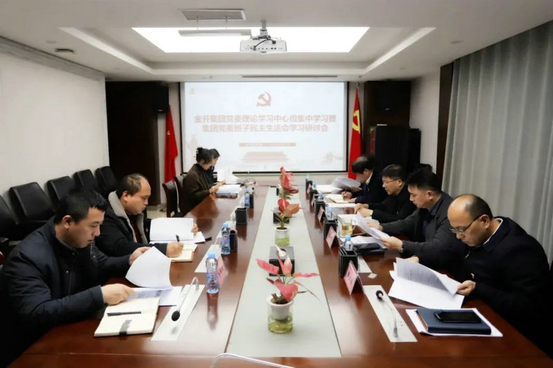 集團(tuán)召開(kāi)集團(tuán)黨委班子民主生活會(huì)學(xué)習(xí)研討會(huì)